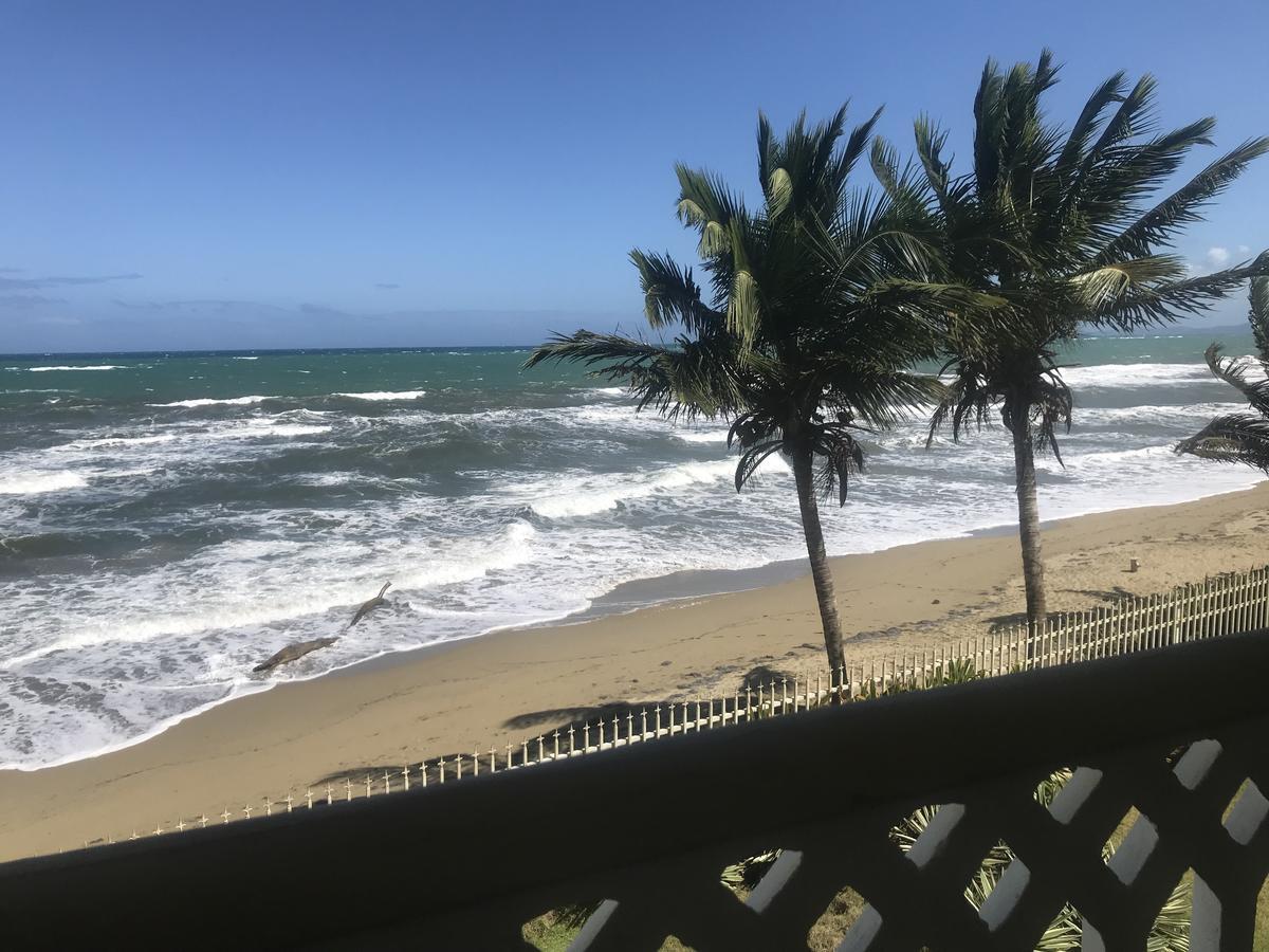Barefoot Beach Pad Cabarete Exterior photo
