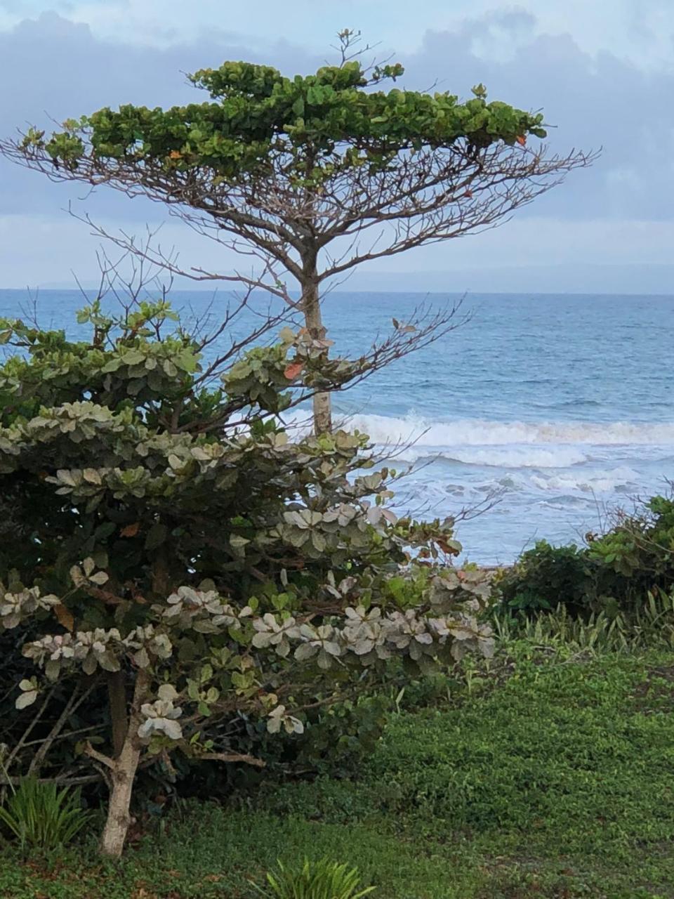 Barefoot Beach Pad Cabarete Exterior photo