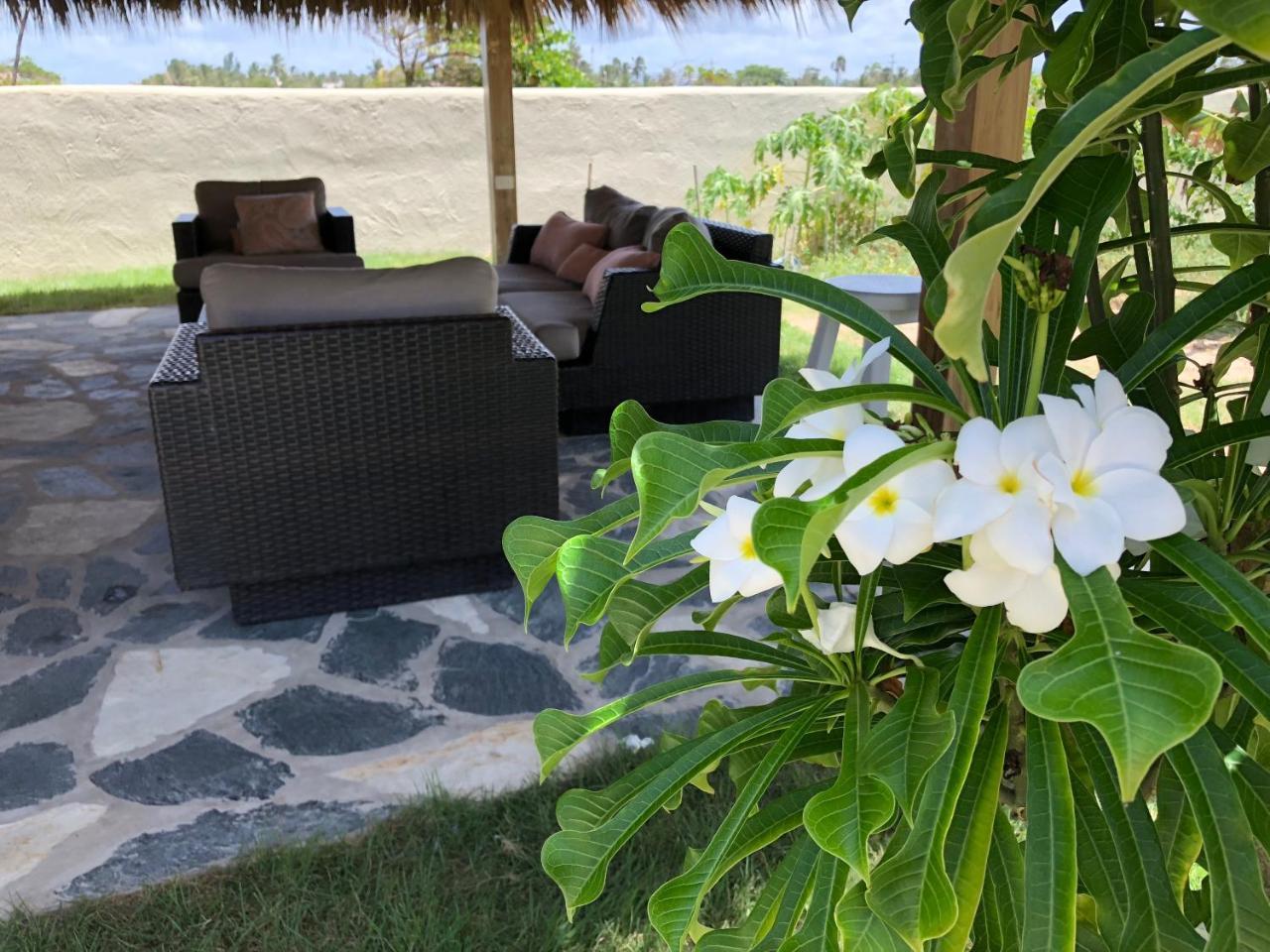 Barefoot Beach Pad Cabarete Exterior photo